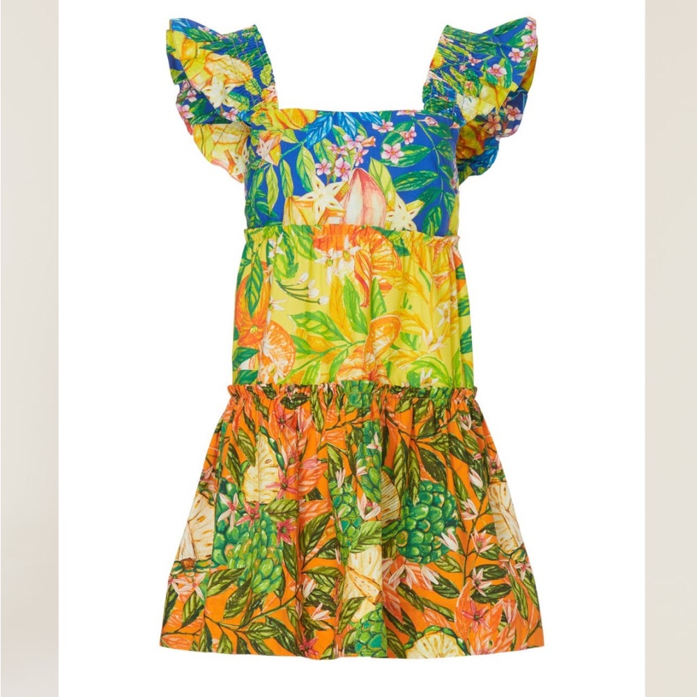 Farm Rio Caipirinha Mini Dress